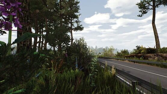 Fernbus Simulator: Usedom screenshot 1