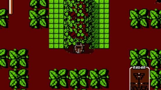 Stunt Buggies screenshot 2