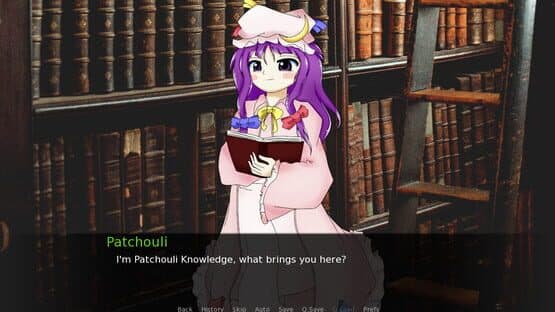CBT With Yuuka Kazami: Getting Help With Patchouli Knowledge screenshot 2
