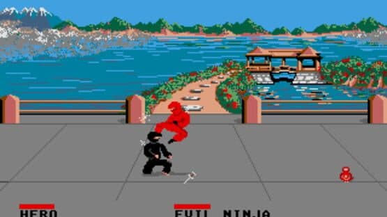 Ninja screenshot 3