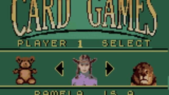 Hoyle Card Games screenshot 2