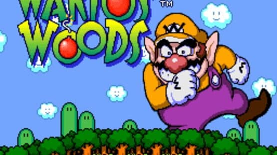 Wario's Woods screenshot 2