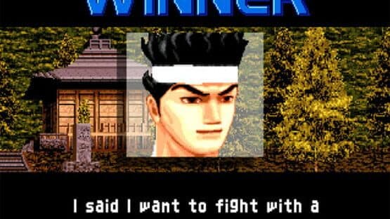 Virtua Fighter 2 screenshot 3