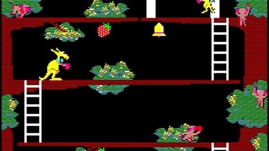 Kangaroo screenshot 2