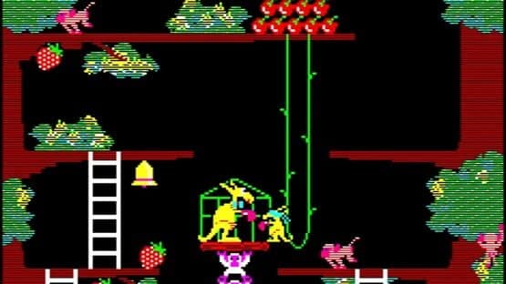 Kangaroo screenshot 3