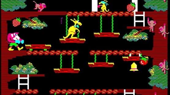 Kangaroo screenshot 4