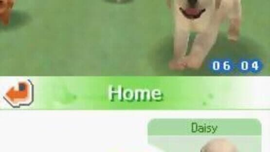Nintendogs: Chihuahua & Friends screenshot 1
