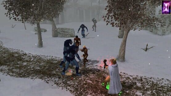 Neverwinter Nights: Enhanced Edition - Doom of Icewind Dale screenshot 2