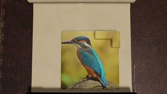 Solid Void: Nature Puzzles screenshot 1