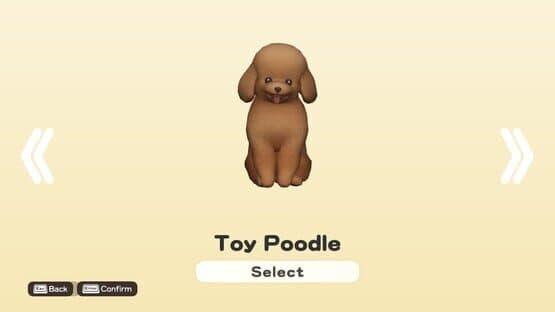 Doronko Wanko: Toy Poodle screenshot 1