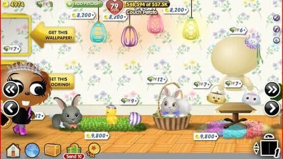 PetVille screenshot 4