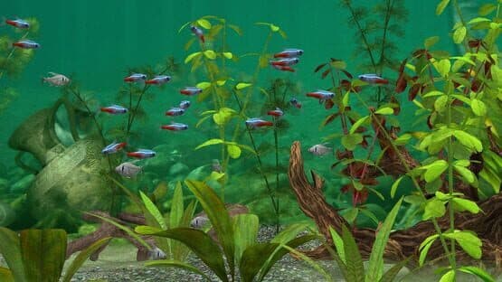 Fish Farm 3 screenshot 2