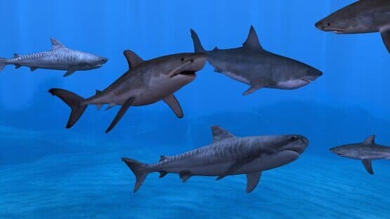 Fish Farm 3 screenshot 4