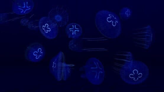 Fish Farm 3 screenshot 6