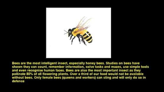 Quiz & Learn: Animals screenshot 1