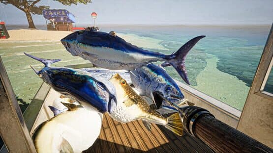 Umigari screenshot 5