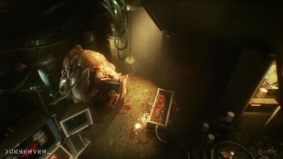 Observer screenshot 4