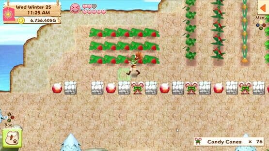 Harvest Moon: Light of Hope screenshot 2