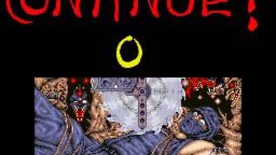 Ninja Gaiden screenshot 2